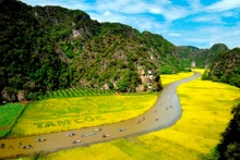En Tam Coc, Ninh Binh. (Foto: Centro de Turismo de Ninh Binh)