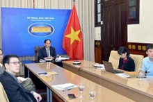 El ministro de Relaciones Exteriores, Bui Thanh Son, encabezó la delegación vietnamita para asistir a la conferencia. (Foto: VNA)