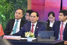 El canciller vietnamita Bui Thanh Son. (Foto: VNA)