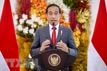 El presidente de Indonesia, Joko Widodo. (Foto: AFP/VNA)