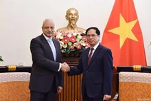 El canciller vietnamita, Bui Thanh Son (derecha) y el asistente del ministro de Relaciones Exteriores de Egipto, Ayman Aly Kamel Aly, (Fotografía: baoquocte.vn)