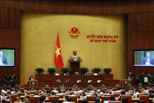 Panorama de la cita (Foto: VNA)