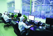 Muchas empresas están contratando a trabajadores de alta calidad para la transformación digital. (Foto: haiquanonline.com.vn)