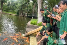 [Vídeo] Visitas multitudinarias de personas para rendir homenaje a Ho Chi Minh en su lugar conmemorativo 