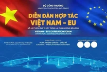 Ciudad Ho Chi Minh acogerá el Foro de Cooperación Vietnam-UE 2024. (Foto: VNA)
