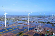 Vietnam ha adoptado diversas políticas para responder al cambio climático. (Fotografía: tainguyenmoitruong.vn)