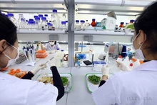 Oficiales y soldados del Departamento Técnico de Seguridad (Alto Mando de Guardias, Ministerio de Seguridad Pública) toman muestras para analizar alimentos y agua potable, a fin de garantizar la seguridad de los guardias. (Fuente: VNA)