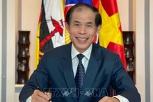 El embajador de Vietnam en Brunei, Tran Van Khoa (Fotografía: VNA)