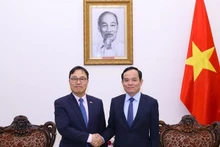 El viceprimer ministro Tran Luu Quang recibe al embajador surcoreano Choi Youngsam. (Foto: VNA)
