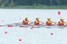 El equipo vietnamita de remo conquista avanzará a la ronda final de cuatro de cinco contenidos. (Fuente:VNA)