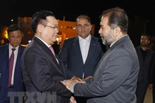 El gobernador de Isfahan, Reza Mortazavi, despide al presidente de la Asamblea Nacional, Vuong Dinh Hue, en el aeropuerto internacional de Isfahan. (Foto: Doan Tan/VNA)