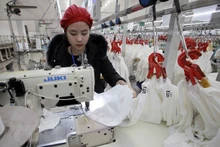 Las exportaciones de Vietnam a los mercados del norte de Europa durante el período 2020-2022 crecieron 14,7 por ciento cada año. (Foto: VNA)