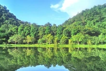 El Parque Nacional Cuc Phuong. (Fuente:sodulich.ninhbinh.gov.vn)