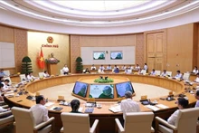 Panorama del evento. (Foto: VNA)