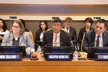 El viceministro de Relaciones Exteriores y jefe de la delegación de Vietnam, Nguyen Minh Vu, preside el seminario. (Foto: VNA)