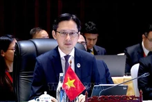 El viceministro de Relaciones Exteriores de Vietnam Do Hung Viet. (Foto: VNA)
