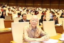 El secretario general del Partido Comunista de Vietnam, Nguyen Phu Trong. (Foto: VNA)