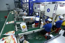 Línea de envasado de arroz para exportación en la fábrica de la compañía agrícola de alta tecnología Trung An (ciudad de Can Tho). Foto de ilustración. (Foto: VNA)