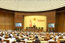 Durante una reunión del séptimo período de sesiones de la Asamblea Nacional de la XV Legislatura. (Foto: VNA)