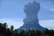 Una columna de ceniza brota del cráter del volcán Ibu en la provincia de Moluscas del Norte, Indonesia, el 13 de mayo de 2024. (Foto: AFP/VNA)