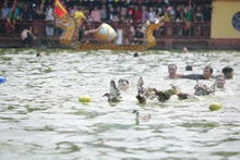 El festival de captura de patos. (Fotografía: toquoc.vn)