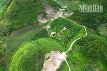 Zona turística de Moc Chau, destino natural líder de Asia. 