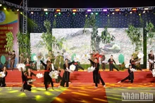 Acto de inauguración de la Semana Cultura y Turismo y el Festival del Templo Bao Ha-2023