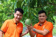 Se presenta mango fresco de Cam Lam, provincia de Khanh Hoa, en el sitio web. (Foto: VNA)