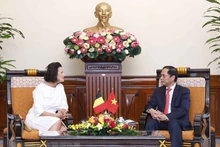 El ministro de Relaciones Exteriores de Vietnam, Bui Thanh Son, recibe a la presidenta del Senado de Bélgica, Stephanie D’Hose. (Foto: VNA)