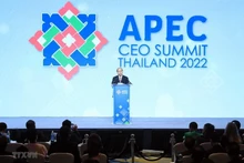 El presidente de Vietnam, Nguyen Xuan Phuc, interviene en la Cumbre de Negocios del Foro de Cooperación Económico Asia-Pacífico (APEC) 2022. (Fotografía: VNA)