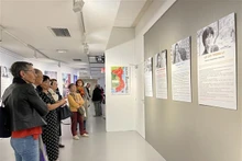 La zona que exhibe las mujeres vietnamitas exitosas. (Foto: VNA)