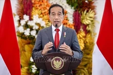 El presidente de Indonesia, Joko Widodo. (Foto: AFP/VNA)