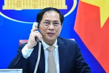 El ministro de Relaciones Exteriores de Vietnam, Bui Thanh Son. (Foto: VNA)