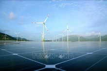 Proyecto de energía eólica y solar en las comunas de Loi Hai y Bac Phong (Thuan Bac). (Foto: VNA)