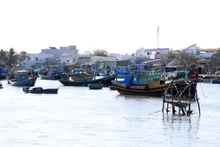 Barcos pesqueros en la provincia de Binh Thuan. (Foto: VNA)