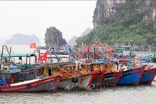 Los barcos pesqueros en Quang Ninh. (Foto: VNA)