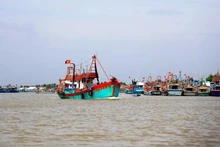 Las autoridades de Tien Giang han implementado políticas para modernizar la flota pesquera y apoyar las operaciones en aguas de alta mar. (Foto: VNA)
