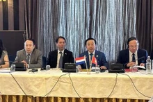 El vicepremier vietnamita Tran Hong Ha en la reunión. (Foto: VNA)