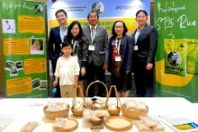 Presentan la variedad ST25 en Filipinas. (Foto: laodong.vn)