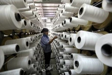 Línea de producción de la empresa KSA Polymer Hanói, con inversión coreana, en el Parque Industrial Thuy Van, en la provincia de Phu Tho. (Fotografía: VNA)