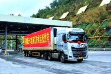 El primer lote de maracuyá vietnamita fue exportado a China. (Foto: chinanews.com)