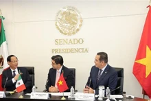 El vicepresidente de la Asamblea Nacional, Tran Quang Phuong, (I) se reúne con el primer vicepresidente del Senado de México, Sergio Pérez Flores. (Foto: VNA)