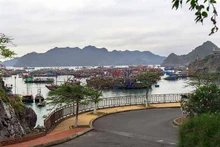 La isla de Cat Ba. (Foto: Travel2next)