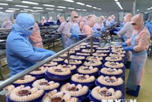 Procesamiento de camarones para la exportación. (Fuente: VNA)