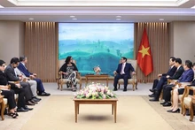 El panorama de la reunión. (Foto: VNA)
