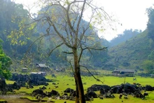 Hang Tau, un pueblo primitivo en Son La (Fuente: VNA)