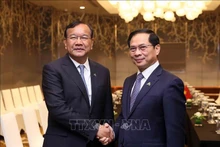 El vicepremier y ministro de Relaciones Exteriores de Vietnam, Bui Thanh Son, se reunió con su homólogo camboyano, Prak Sokhonn. (Foto: VNA)