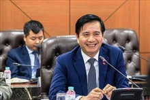 El embajador de Vietnam en Malasia, Dinh Ngoc Linh. (Foto: VNA)