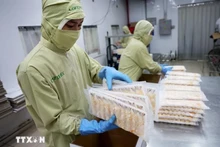Paquetes de camarón para exportación. (Foto: VNA)