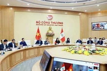 La viceministra de Industria y Comercio vietnamita, Phan Thi Thang, y el viceministro de Relaciones Exteriores de Perú, Félix Denegri Boza, co-presidieron la tercera sesión plenaria del Comité Intergubernamental bilateral. (Foto: VNA)